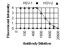 HSV-2 ICP8 IFA Data